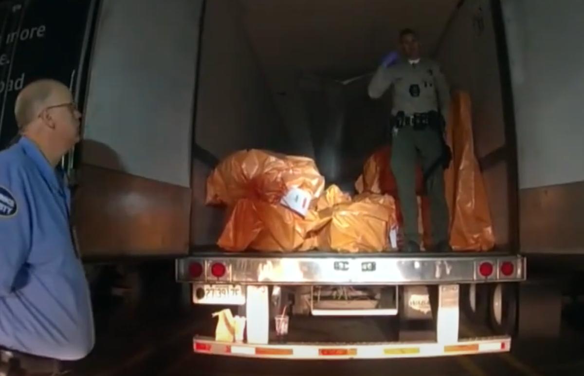 photo 2026 01 22 11 18 34