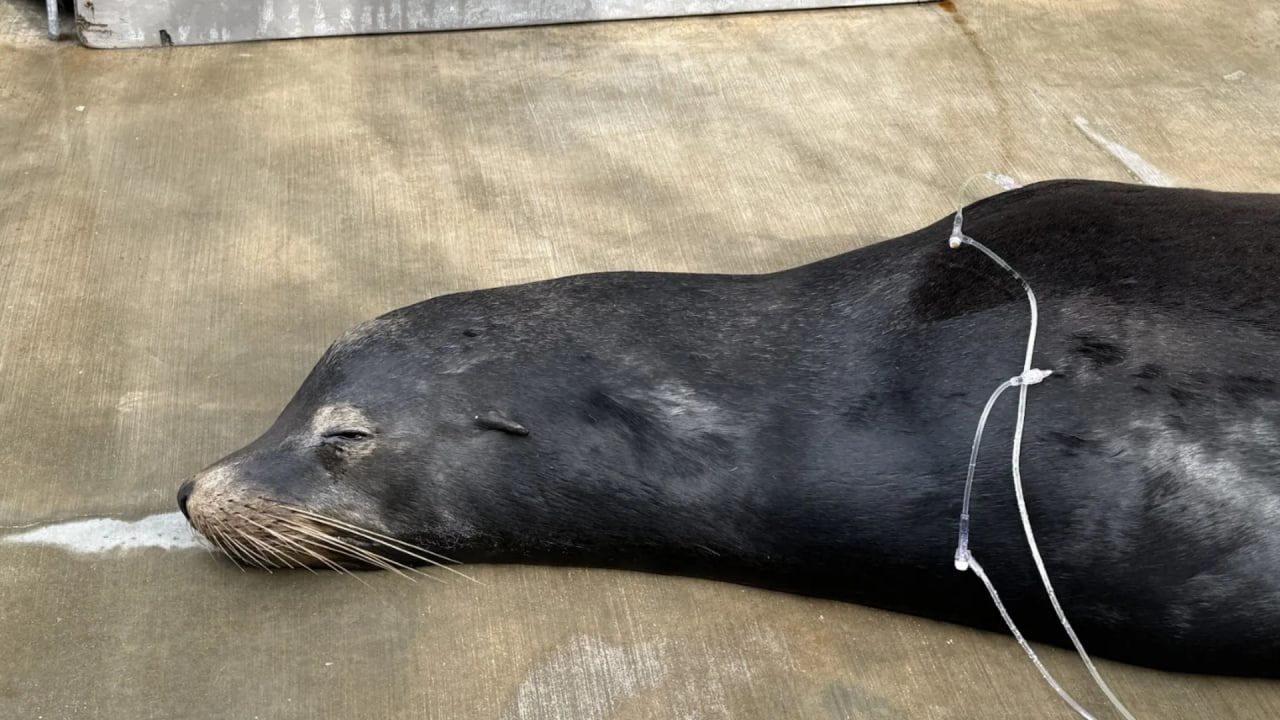 photo 2026 01 23 14 03 47