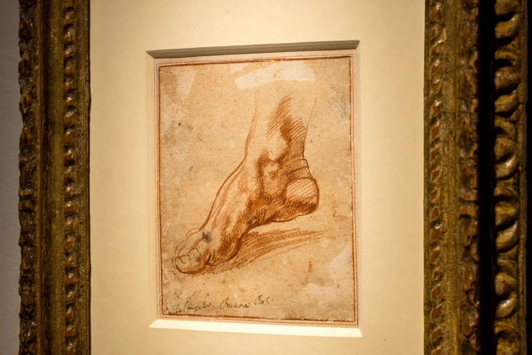 photo 2026 01 29 14 10 48