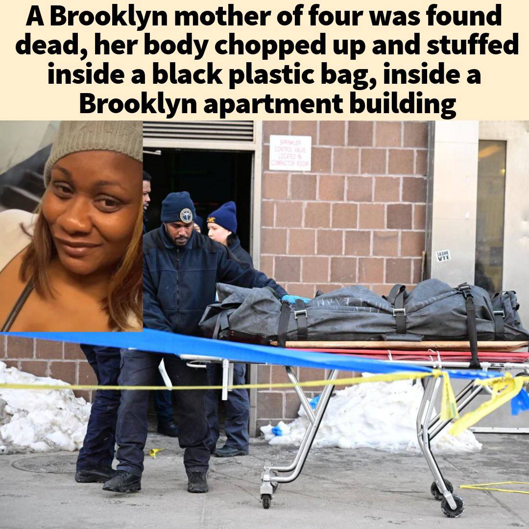 photo 2026 02 03 16 22 37